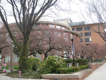 Family and Divorce Lawyer in Bucks County | Vetrano | Vetrano & Feinman